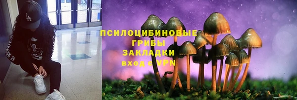 а пвп мука Зеленодольск