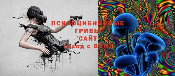 a pvp Зеленокумск