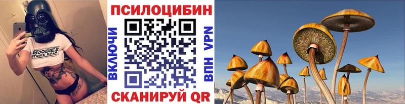 Псилоцибиновые грибы Psilocybe  Чишмы 