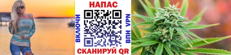 Бошки Шишки семена  Чишмы 
